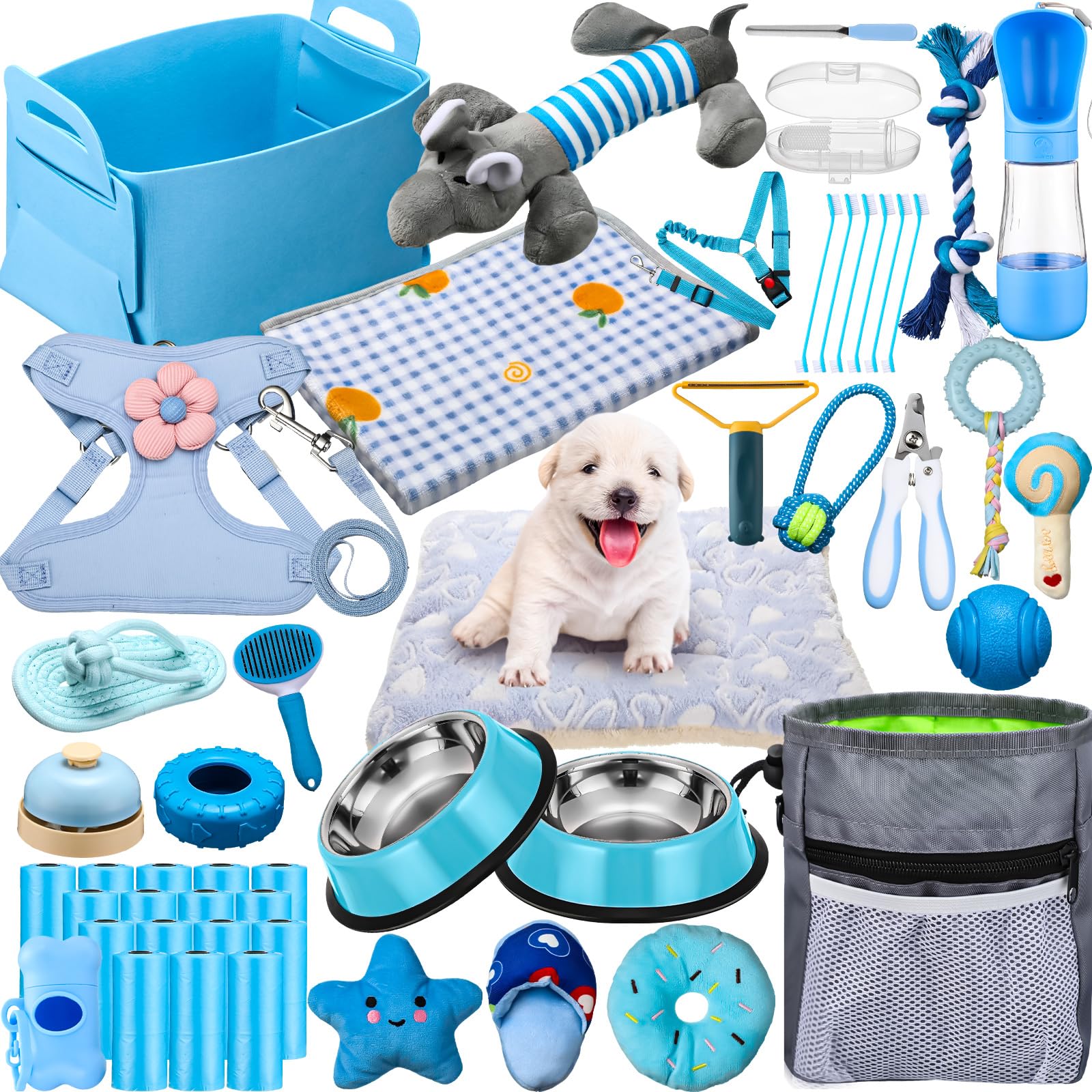 Pet Accessories